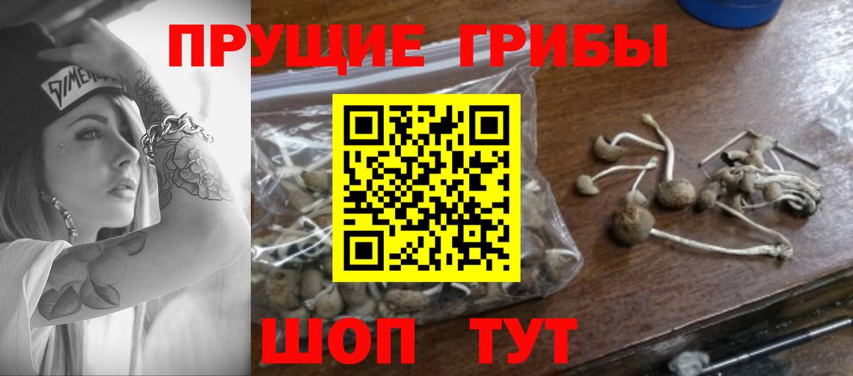 Галлюциногенные грибы мицелий Миллерово